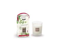Bougie parfumée rechargeable 180g citronnelle et menthe