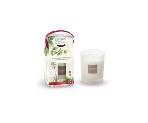 Bougie parfumée rechargeable Citronnelle et Menthe 180g Take Away - Esteban