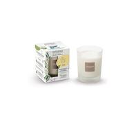 Bougie parfumée rechargeable Jasmin d'été