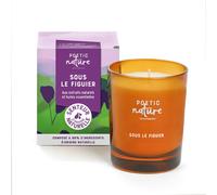 Bougie parfumée Sous le figuier