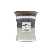 Bougie parfumée WoodWick Trilogy Amethyst Sky avec mèche en bois 275 g