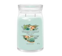 Yankee Candle – Bougie signature Aloe et Agave – Modèle moyen – Vert