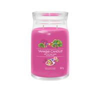 Bougie signature Yankee Candle Art In The Park grande 567 g