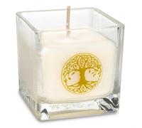 Bougie vegan à la cire de colza Arbre de vie. Parfums ouhd, ambre,bois de santal, pot en verre