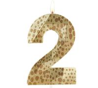 Bougies d'anniversaire 3D métalliques Lion Wild One, Bougie Numéro 2, Bougie Joyeux 2ème Anniversaire pour Gâteau, Décorations de Dessus de Gâteau Safari Jungle pour Garçons et Filles Fournitures de