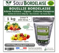 Bouillie Bordelaise - UAB - 1 kg - Non Colorée - Protection Arbres Fruitiers - Agriculture Biologique