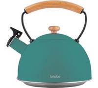 Bouilloire à Induction Théière Sifflet 2,3L Acier Inox., Poignée en Bois Briebe Nordic Vert 10 G