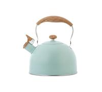 Bouilloire à Sifflet En Acier Inoxydable 2.5 L Vert Avec YOKULI Boîte De Rangement Bleu