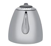 Bouilloire à thé 1,2l/1,5L en Acier Inoxydable, Théière sur Cuisinière, Théière à thé, Cafetière, Poignée Chauffante, 1,2l, Acier Inoxydable 304, Chaleira Argent
