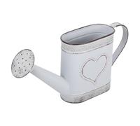 Bouilloire antique Pot de fleurs Arrosoir Outils pour arroser les plantes Saupoudreuse Bouteille d'arrosage Vase à fleurs Seau à fleurs rustique Pot d'arrosage Bureau Fer