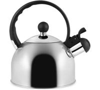 Bouilloire avec sifflet - Théière en acier inoxydable - Eau bouillante - Convient pour l'induction - 15 litres - Gris