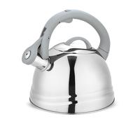 Feel Maestro Mr-1304 Bouilloire 2,5 L Gris Et Acier Inoxydable