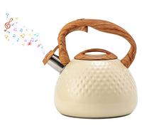 Bouilloire de 3 litres avec sifflet, en acier inoxydable, pour plaque de cuisson