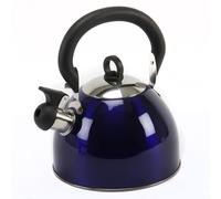 Bouilloire de camping en acier 2.5L