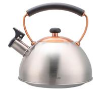 Bouilloire électrique rétro, induction, 2,3 litres