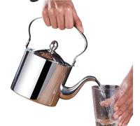 Bouilloire en acier inoxydable avec filtre fin et distributeur à bec long | Bouilloire à thé en acier inoxydable pour cuisinière pour camping, voyage, bureau, maison, café, eau, cuisine