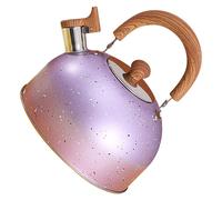 Bouilloire en acier inoxydable avec fonction de sifflet, capacité de 2 litres, légère et portable