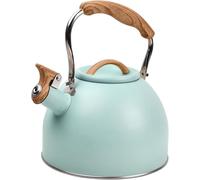 Bouilloire en acier inoxydable - Bouilloire de cuisine - Pour faire bouillir de l'eau - Plaques de cuisson polyvalentes - 3 litres - Turquoise