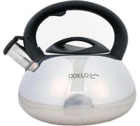 bouilloire LUCIO 3l en acier brillant ODELO | OD1735