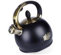 Bouilloire - Réservoir d'eau pour plaque de cuisson - Acier inoxydable - 2 à 3 litres - Noir
