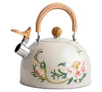 Bouilloire Sifflante 3l en Acier Inoxydable pour Induction, Camping | Poignée PVC, Usage Intérieur et Rv, pour Thé et Café, Style Vintage Élégant