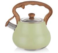 Bouilloire sifflante - Bouilloire - 3 litres - Acier inoxydable - Sifflet - Vert