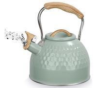 Bouilloire sifflante de 3 L pour cuisinière à induction, bouilloire sifflante en acier inoxydable pour cuisinière à gaz ou plaque à induction