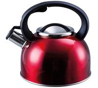 Bouilloire sifflante en acier inoxydable 2,5 L - Bouilloire à ébullition rapide adaptée pour cuisinière à gaz, céramique, électrique, halogène - Bouilloire de camping légère avec poignée résistante à