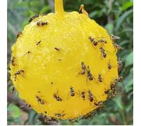 Boule d'insectes collante, 1 pièce, boule de moustique pour mouche de fruits, attrape-insectes adapté à la cour, cuisine, ve[LA89]