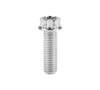 Boulon En Titane M10X15~90Mm, Bride Torx T50, Pas De Vis 1.25/1.5Mm, Titane, P1.25mm, M10,15mm