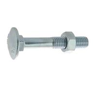 Japy 10x180 mm Boulon pour bois tête ronde collet carré boîte 25