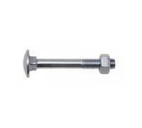 Boulons Japy en acier zingué avec tête ronde collet carré 6x100 mm VISWOOD