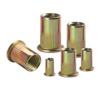 BOUMVID 100 Pièces M3 écrous à Sertir, Ronds Aveugles Insers Fileté Riveteuse, Écrou Insert Riveter Manchon en Acier Au Carbone Galvanisé, Écrous à Rivets Flat Head Threaded Rivet Nuts