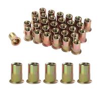 BOUMVID 100 Pièces M6 écrous à Sertir, Ronds Aveugles Insers Fileté Riveteuse, Écrou Insert Riveter Manchon en Acier Au Carbone Galvanisé, Écrous à Rivets Flat Head Threaded Rivet Nuts