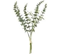 bouquet artificiel eucalyptus baies 6 tiges 40cm - hobi fbo4007ve Vert G
