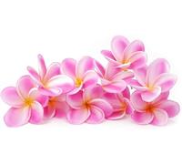 Bouquet de 10 fleurs de plumeria artificielles en PU, vrai toucher réaliste faux bouquet de fleurs Hawaii Lei Frangipanier pour mariage été Aloha Party décoration de la maison (VIOLET CLAIR + blanc)