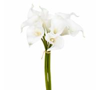 Atmosphera – Bouquet de 8 arums artificiels – Blanc – H36 cm