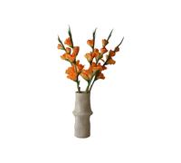 Bouquet de fleurs Gladiolus Flower Orange