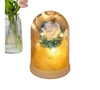 Bouquet de fleurs préservées - Dôme en verre rose éternelle, infinie avec lumière LED | Pour maman grand-mère sœur fille femme saint valentin anniversaire noël petite amie cadeau romantique déco