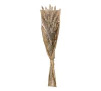 Bouquet de Fleurs Queue de Lapin 58cm Ivoire
