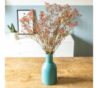 Bouquet de fleurs séchées : gypsophile