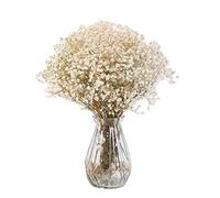 Bouquet de fleurs séchées - Naturelle - Gypsophile - 100-110g - Décoration Vintage - Mariage Blanc