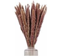 Bouquet de fleurs séchées - YYV - 30 Herbes de Pampas - 60 cm - Décoration naturelle - Intérieur