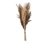 Atmosphera - Bouquet de pampas séchées Ori - blanc ivoire - H58 cm