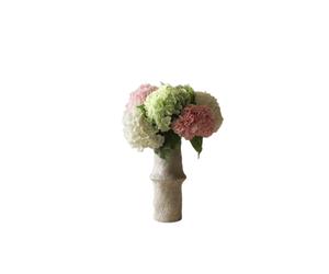 Bouquet d'Hortensias Multicolore
