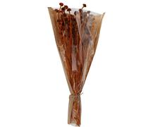 Home @ Styling Collection Koopman International B.V - Bouquet Fleurs SÉCHÉES Marguerite 55CM Terracotta
