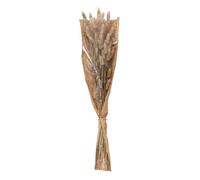 Atmosphera Bouquet de fleurs séchées «Ori» blanc ivoire H58 cm
