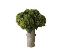 Bouquet Hydrangea Moss Green