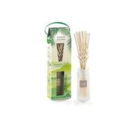 Estéban Bouquet initial Citronnelle et Menthe 100 ml