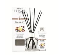 MAISON BERGER - Bouquet Parfumé - Diffuseur Parfum Maison - Poussière d'Ambre - Modèle Glaçon Transparent - 6 Bâtonnets Noirs - 21 cm - Recharge 100 ml - Diffusion 4 à 6 Semaines - Fabriqué en France